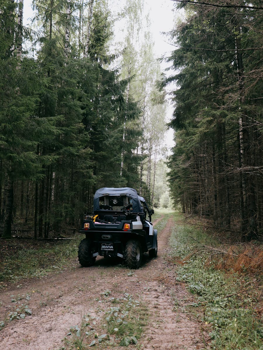 An ATV navigating a scenic dirt path through a dense forest setting.